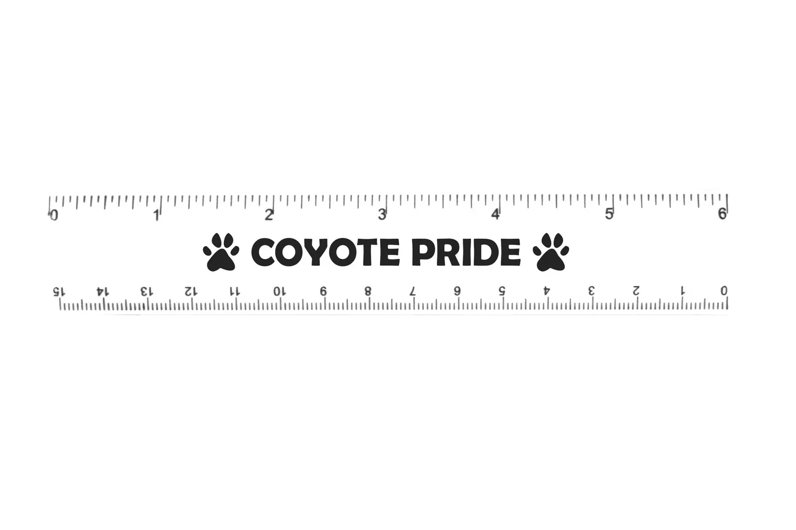 Plastic Ruler Standard and Metric Scales - 6 in