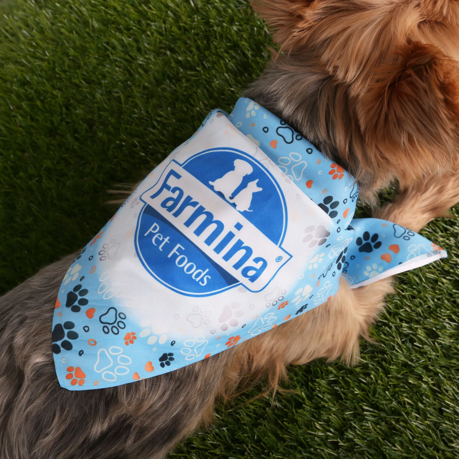 Bandana Recycled PET Full-Color Sublimated - 20.75 in