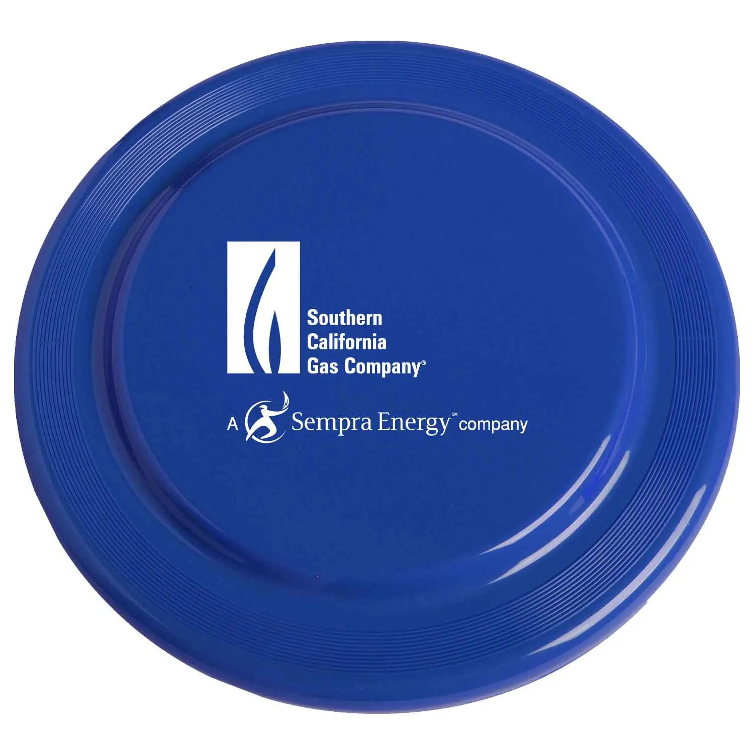 Flying Disc Value Plastic 70 Gram - 9 in - product view 2