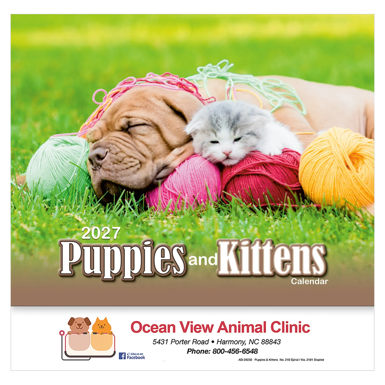 Puppies & Kittens Wall Stapled - 10 3/4 x 19 in