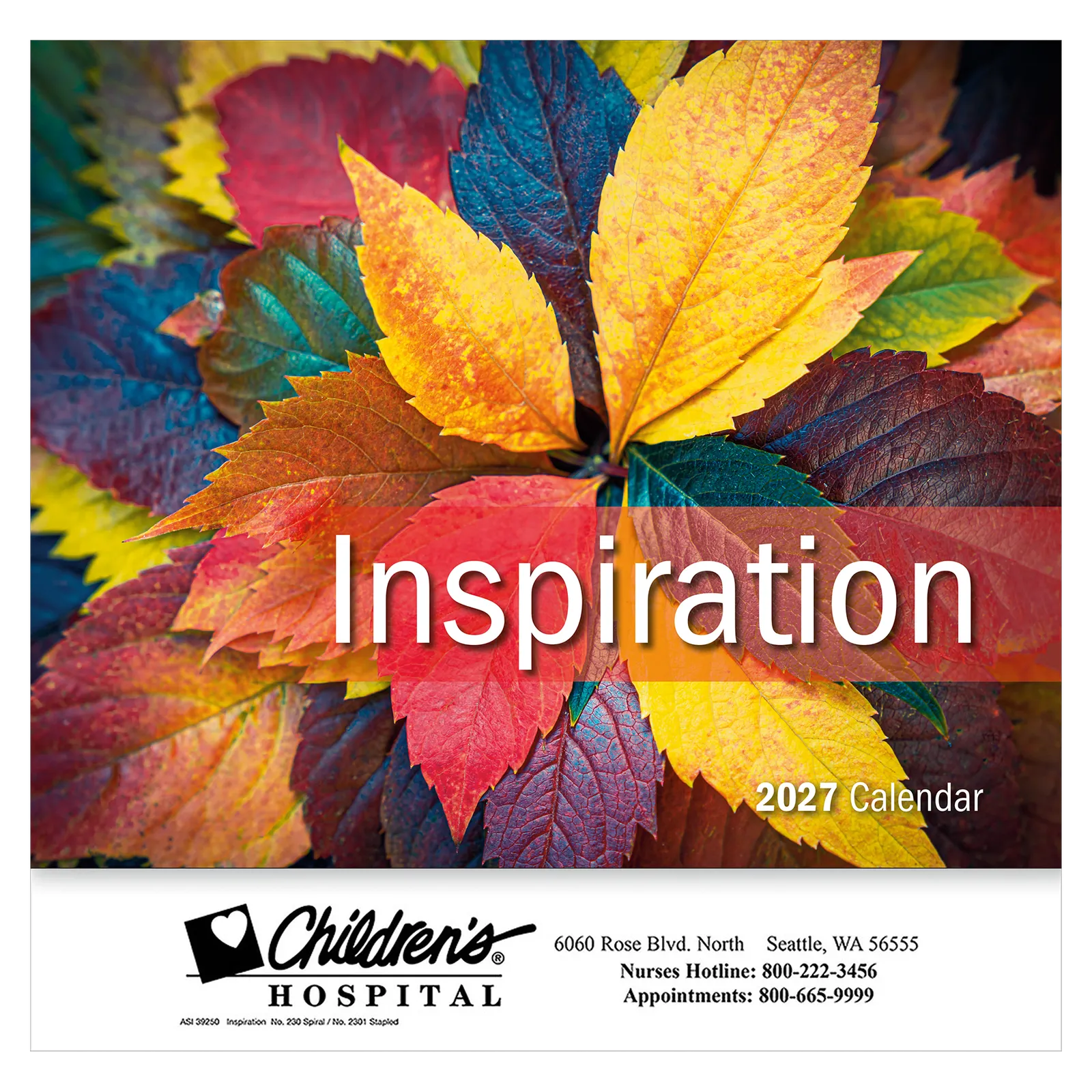 Inspiration Wall Stapled - 10 3/4 x 19 in