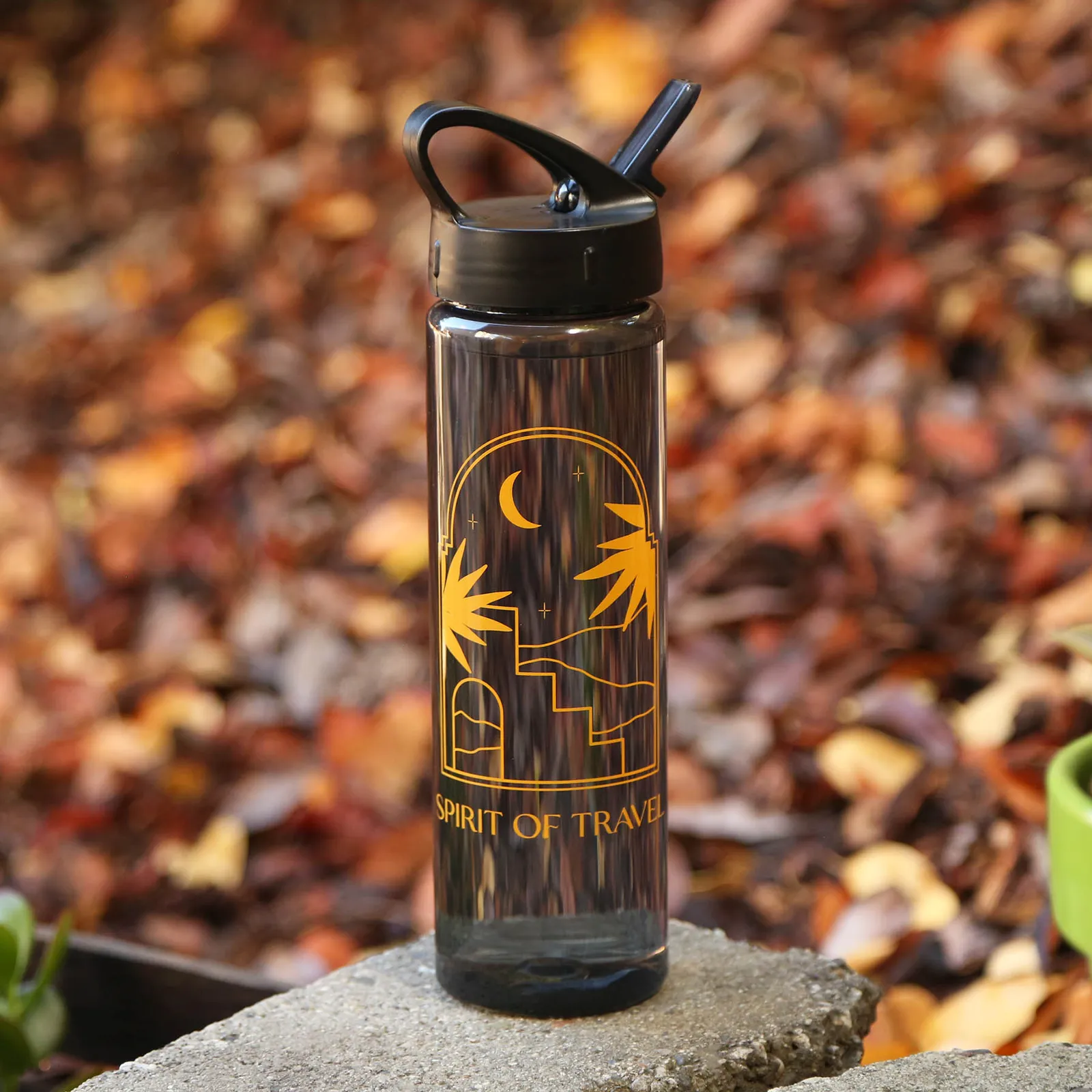 PET Water Bottle with Push-Pull Lid - 25 oz - product view 2