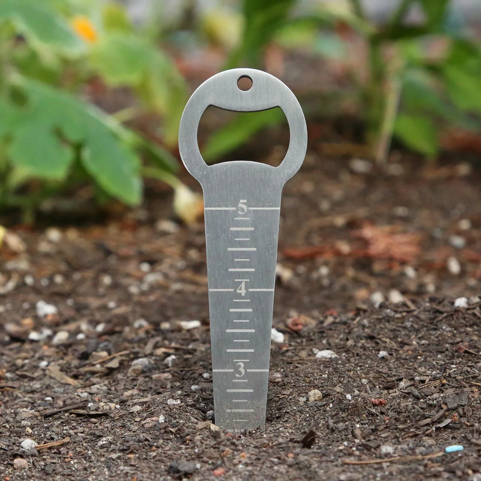 Seed Depth Measuring Tool Stainless Steel - 6.75 in