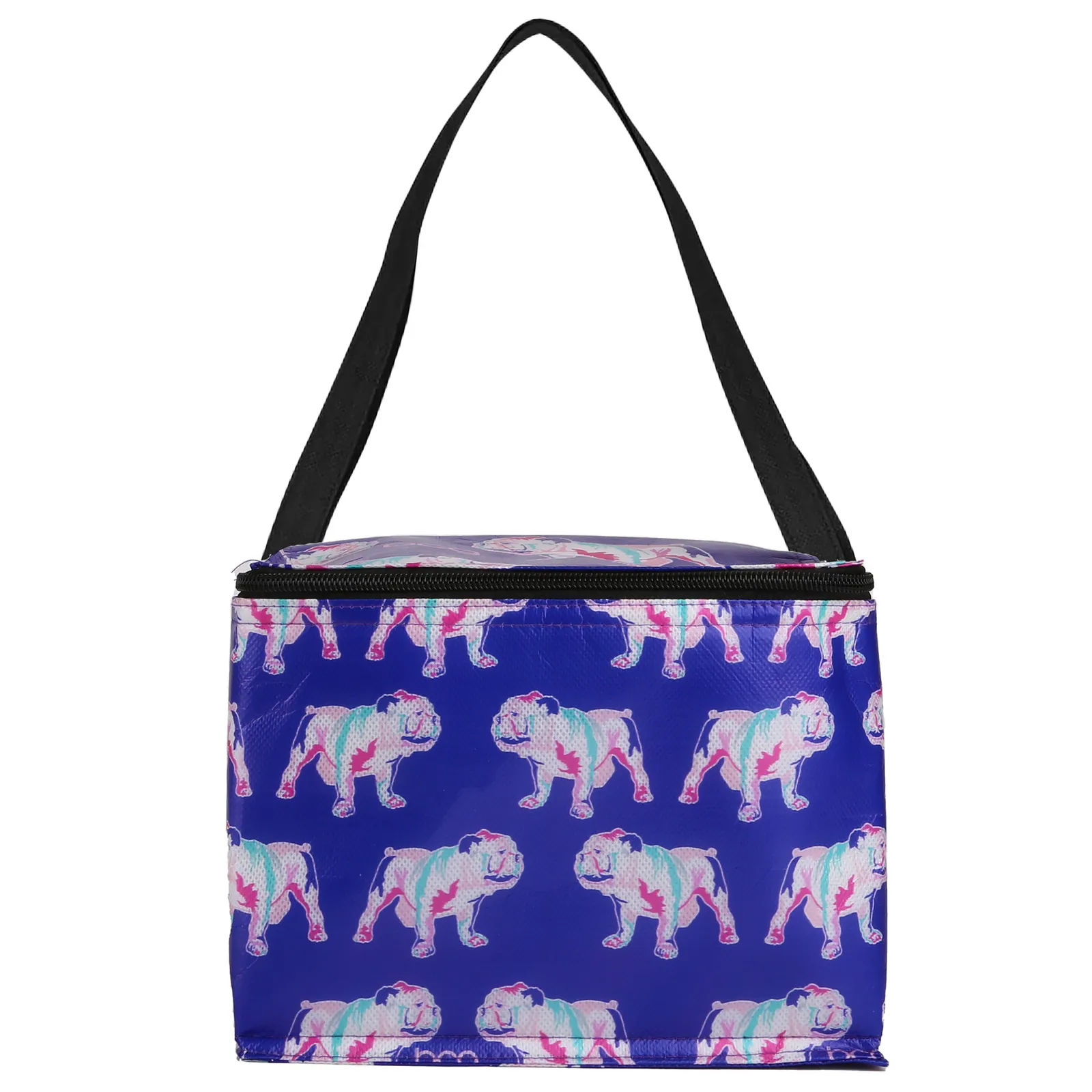 Insulated Cooler Bag Laminated Full Color - 20 x 15 x 15 in