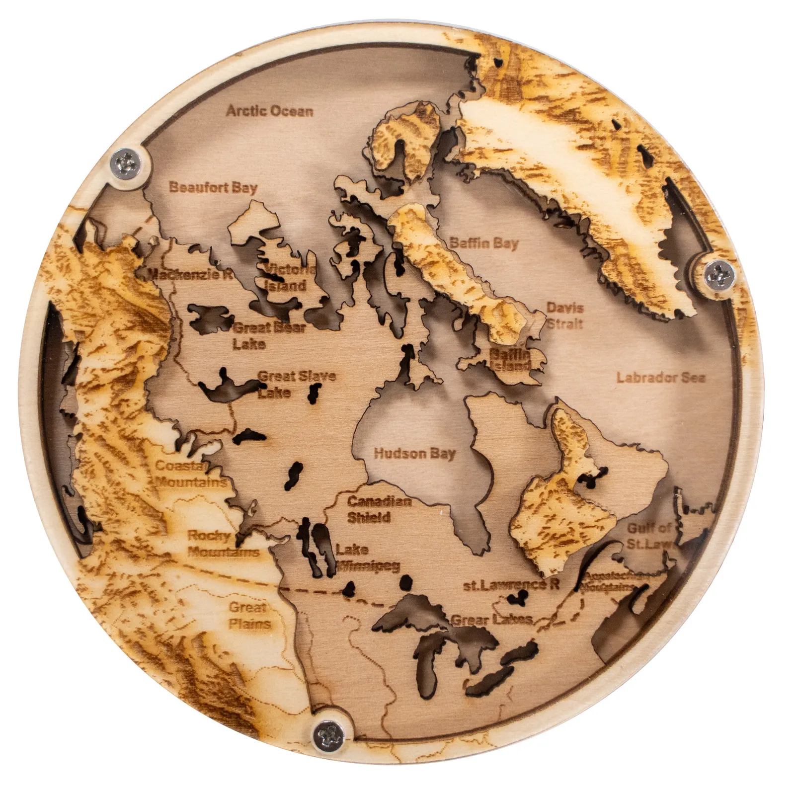 Layered Wood Coaster Birch with Clear Acrylic Top - 3 1/2 in - product view 18