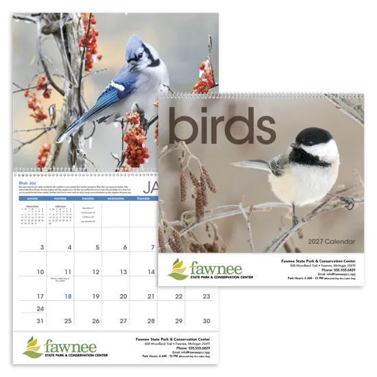 Birds Wall Calendar North American Species FSC - 18.5 x 11 in
