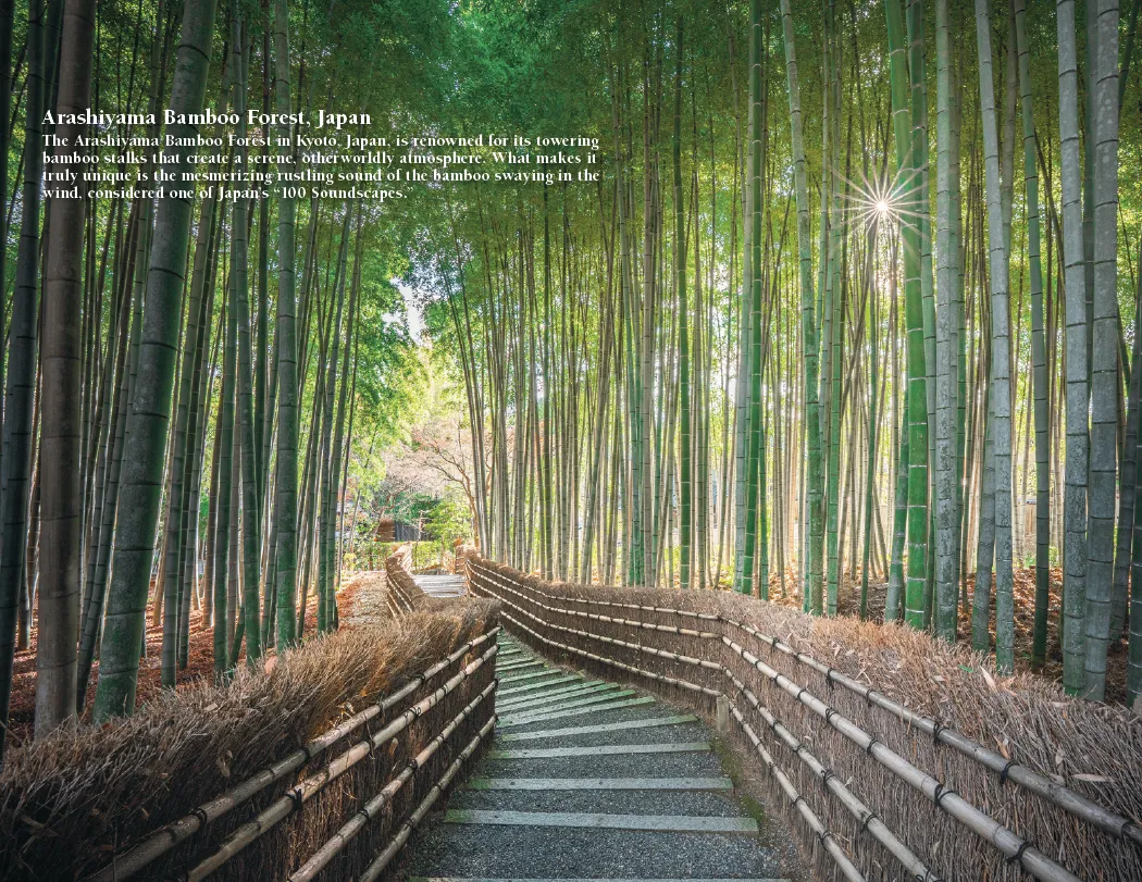 Earth Photography Wall Calendar Natural Phenomena FSC - 16.75 x 11 in - product view 5