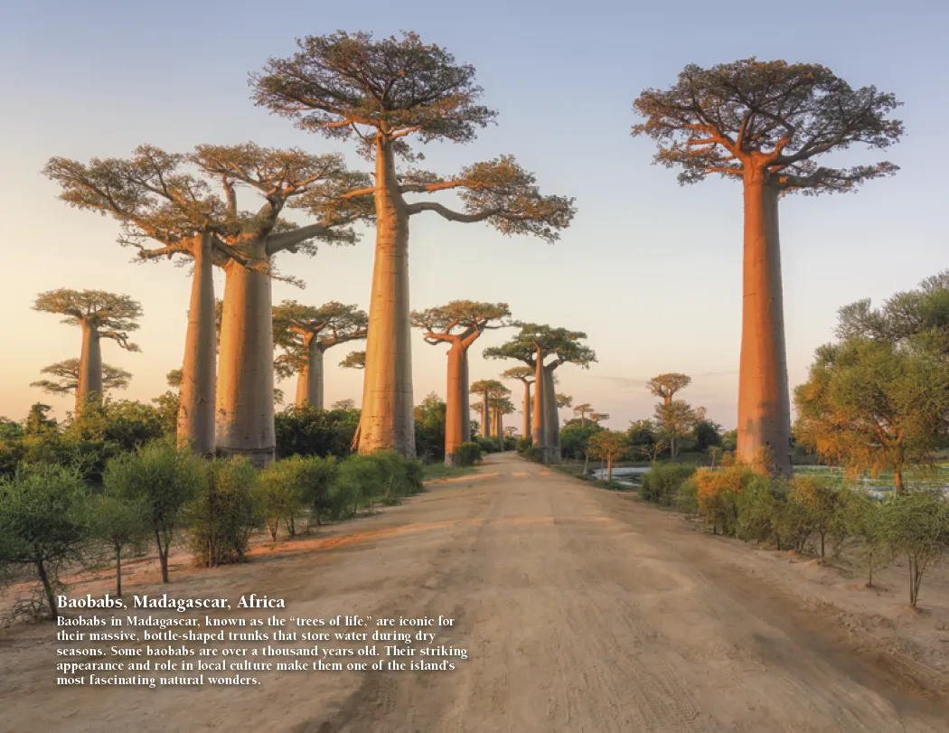 Earth Photography Wall Calendar Natural Phenomena FSC - 16.75 x 11 in - product view 10