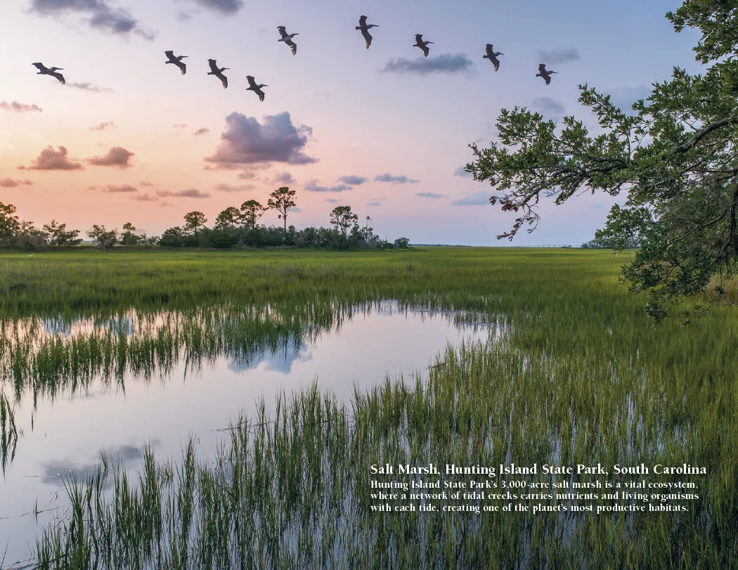 Earth Photography Wall Calendar Natural Phenomena FSC - 16.75 x 11 in - product view 12