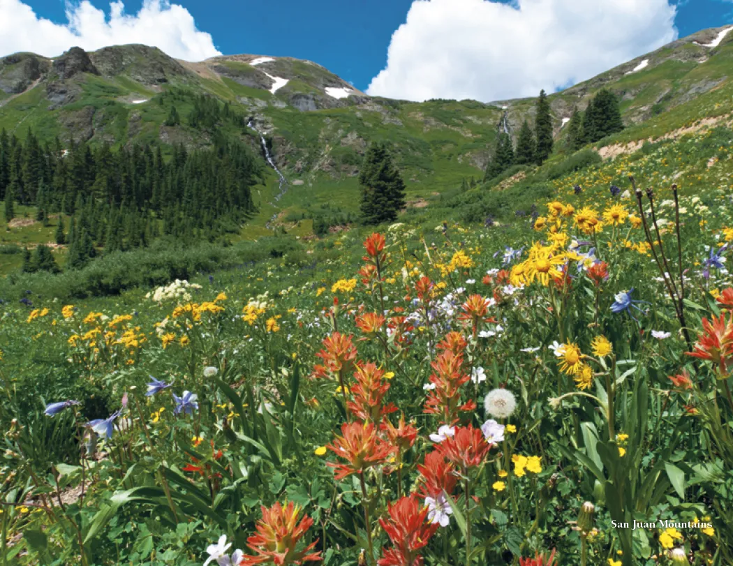 Colorado Scenic Wall Calendar FSC Gloss Paper - 16.75 x 11 in - product view 7