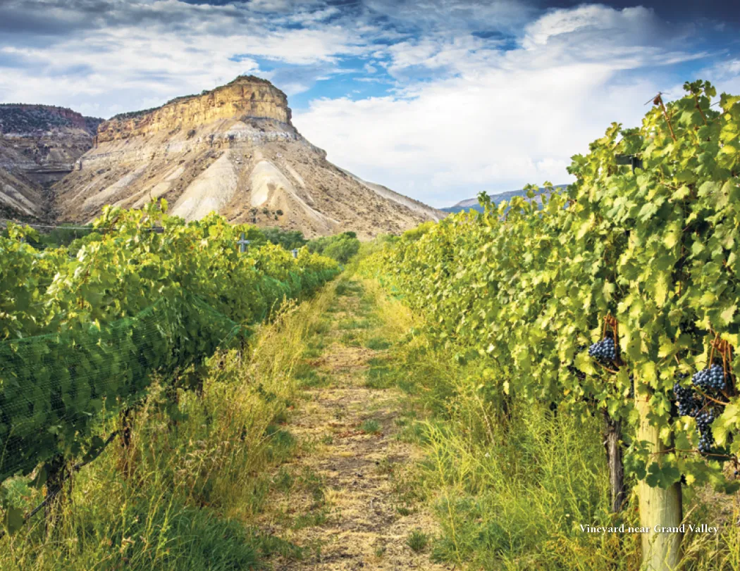 Colorado Scenic Wall Calendar FSC Gloss Paper - 16.75 x 11 in - product view 11