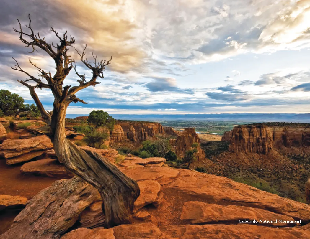 Colorado Scenic Wall Calendar FSC Gloss Paper - 16.75 x 11 in - product view 13