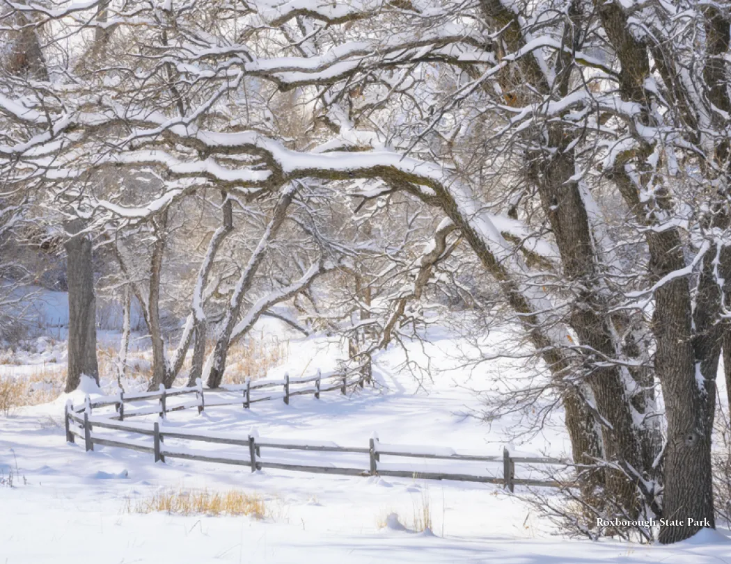 Colorado Scenic Wall Calendar FSC Gloss Paper - 16.75 x 11 in - product view 15