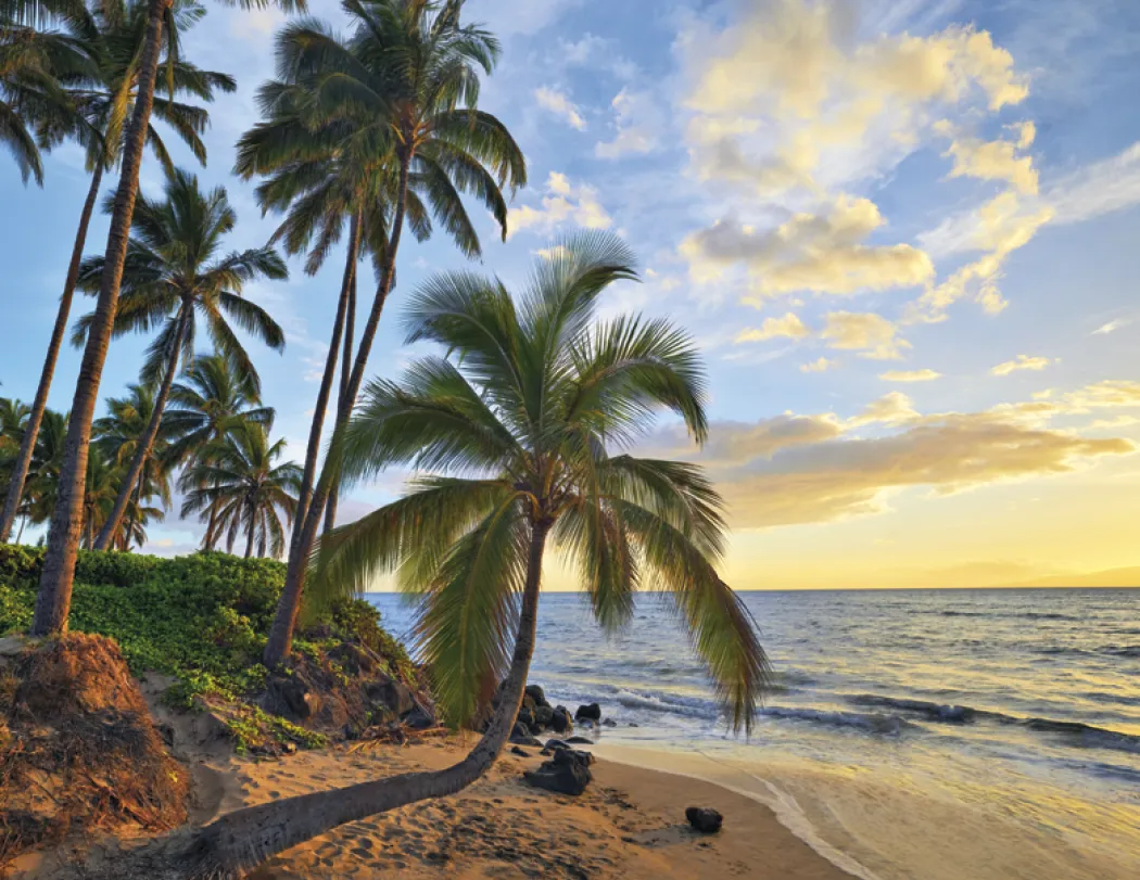 Religious Inspirations Wall Calendar FSC Paper - 18.5 x 11 in - product view 18