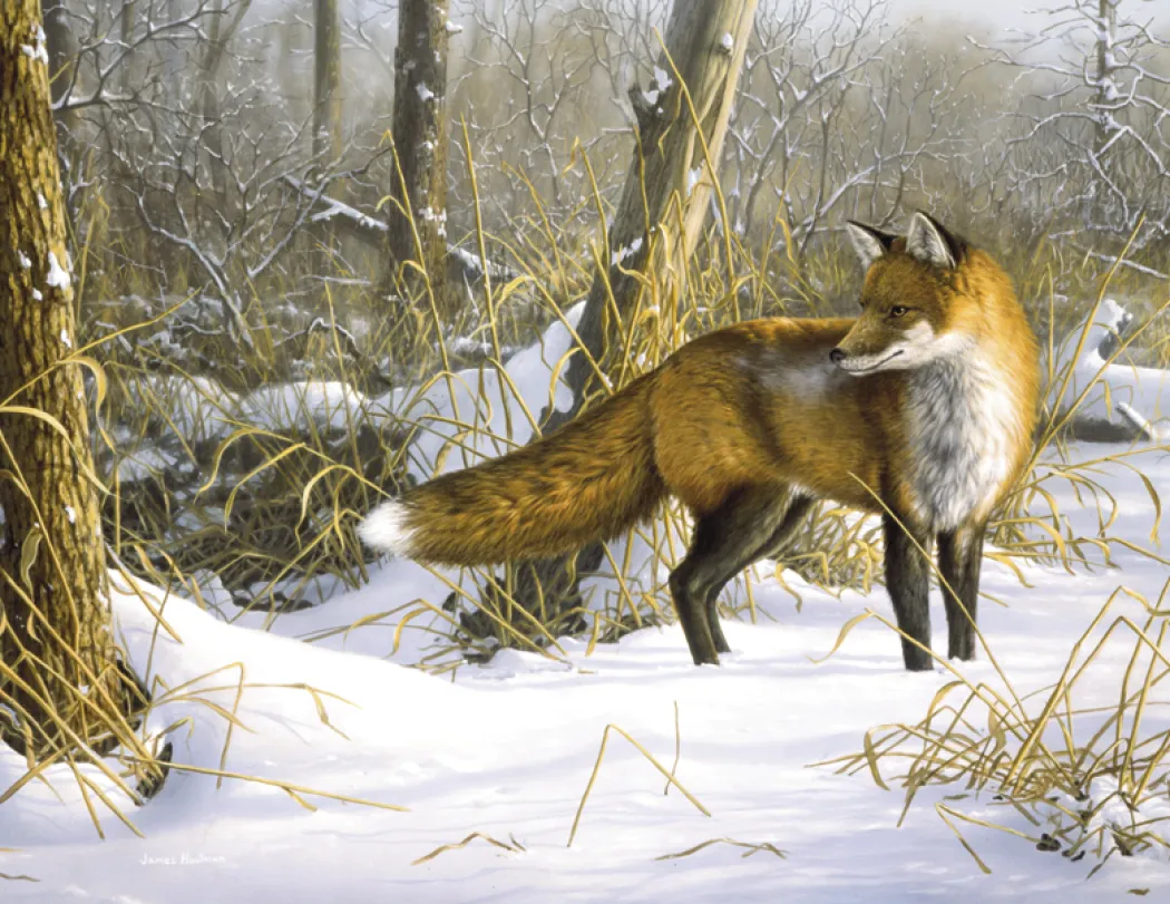 Hautman Brothers Wildlife Art Calendar Matte - 18.5 x 11 in - product view 18