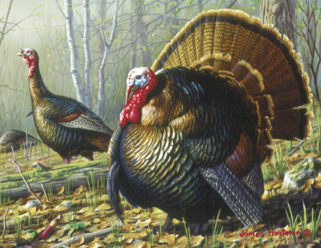 Hautman Brothers Wildlife Art Calendar Matte - 18.5 x 11 in - product view 21