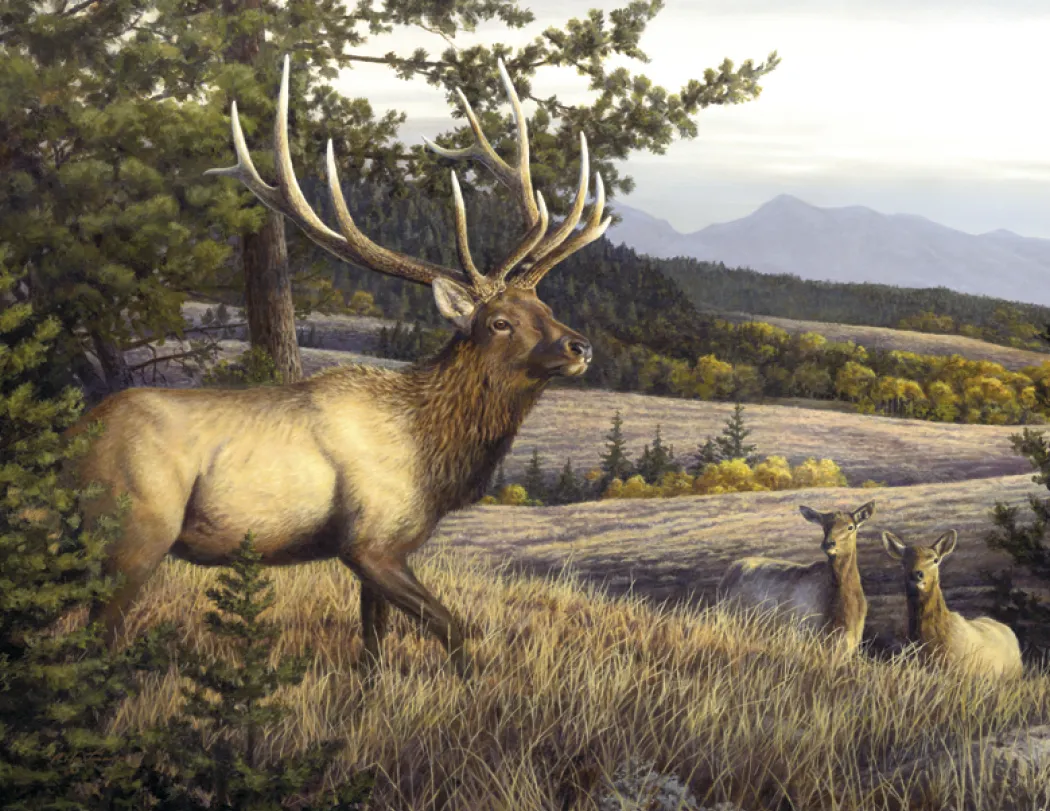 Hautman Brothers Wildlife Art Calendar Matte - 18.5 x 11 in - product view 24