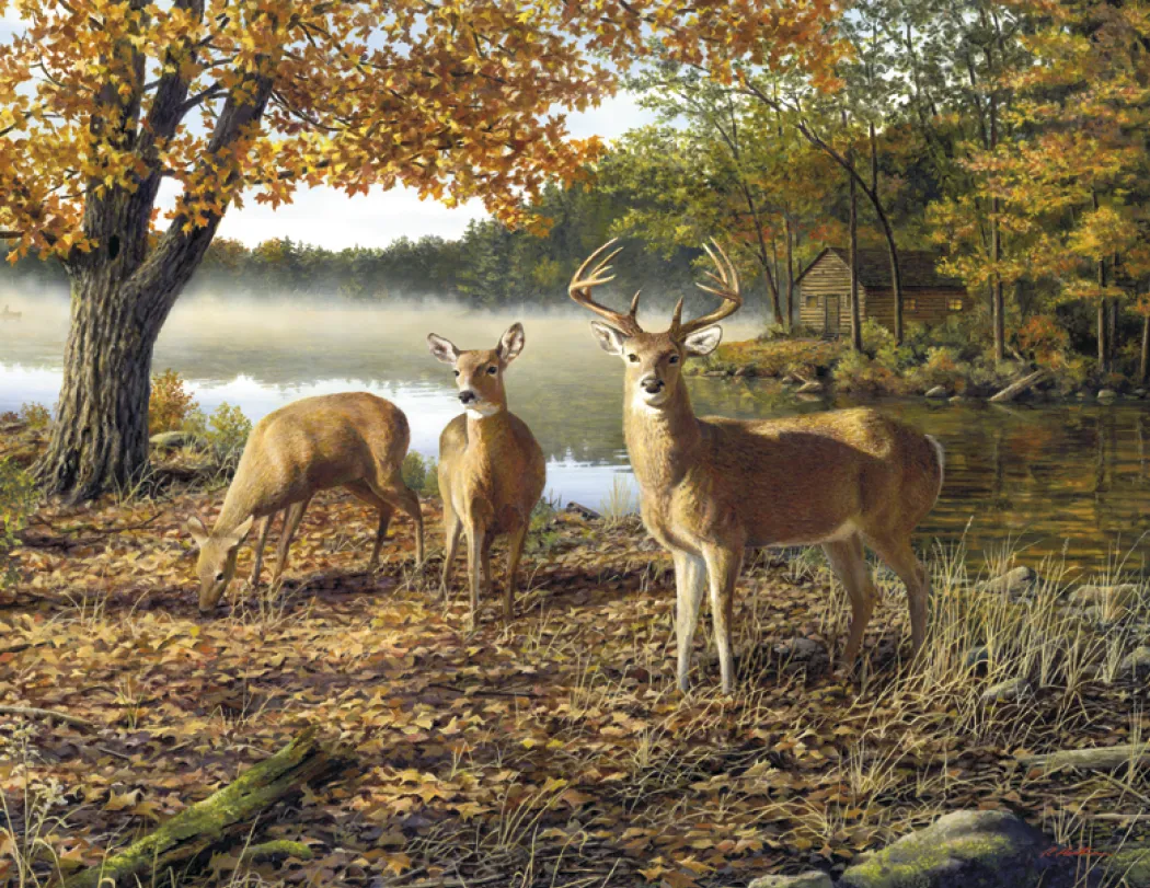 Hautman Brothers Wildlife Art Calendar Matte - 18.5 x 11 in - product view 27