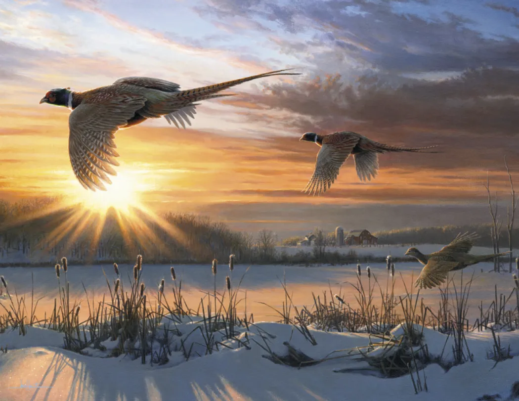 Hautman Brothers Wildlife Art Calendar Matte - 18.5 x 11 in - product view 28