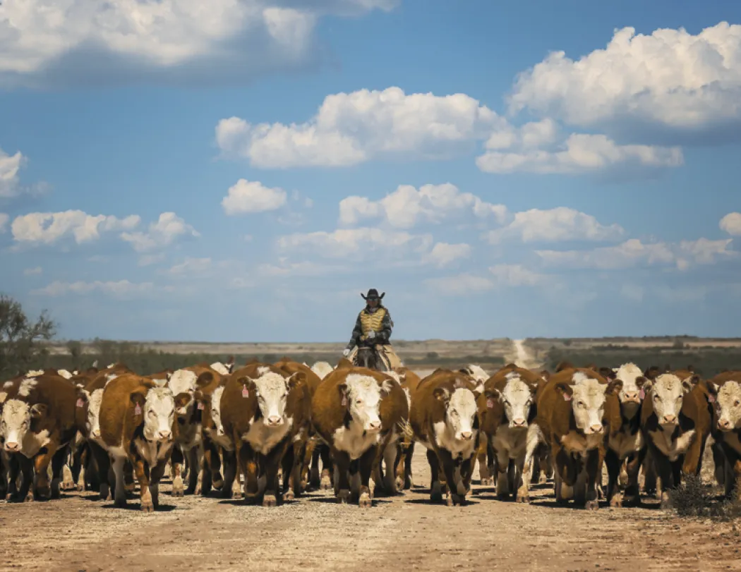 Western Landscape Wall Calendar FSC Gloss - 18.5 x 11 in - product view 19