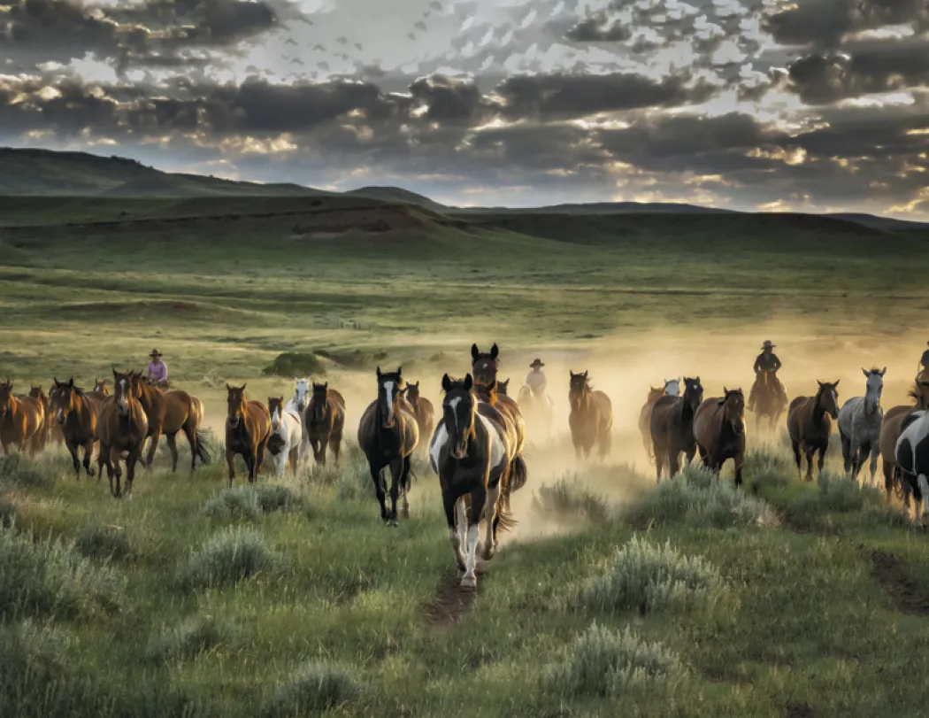 Western Landscape Wall Calendar FSC Gloss - 18.5 x 11 in - product view 21