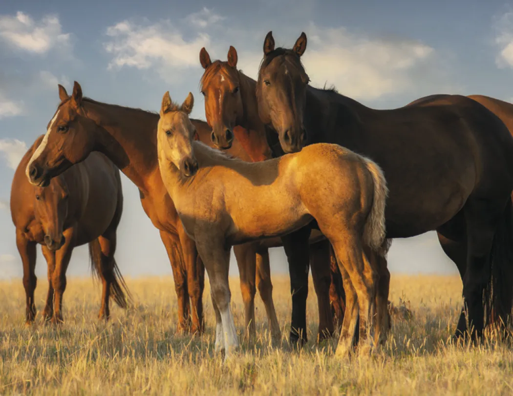 Western Landscape Wall Calendar FSC Gloss - 18.5 x 11 in - product view 22