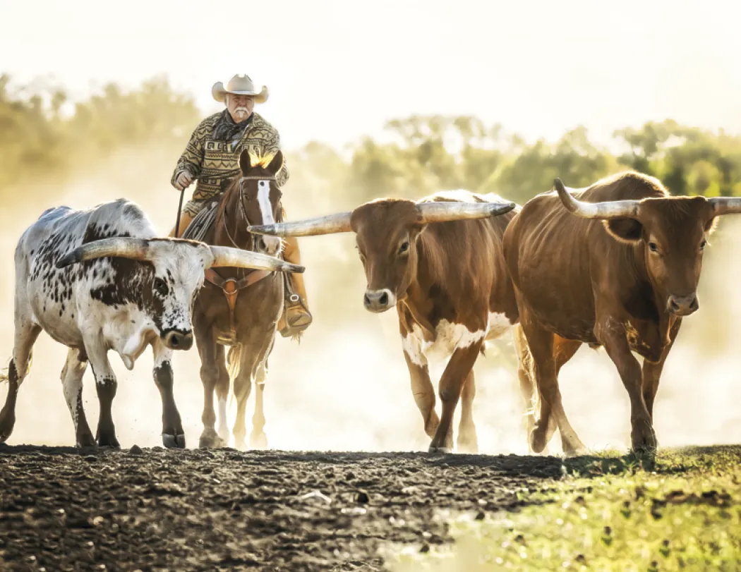 Western Landscape Wall Calendar FSC Gloss - 18.5 x 11 in - product view 26