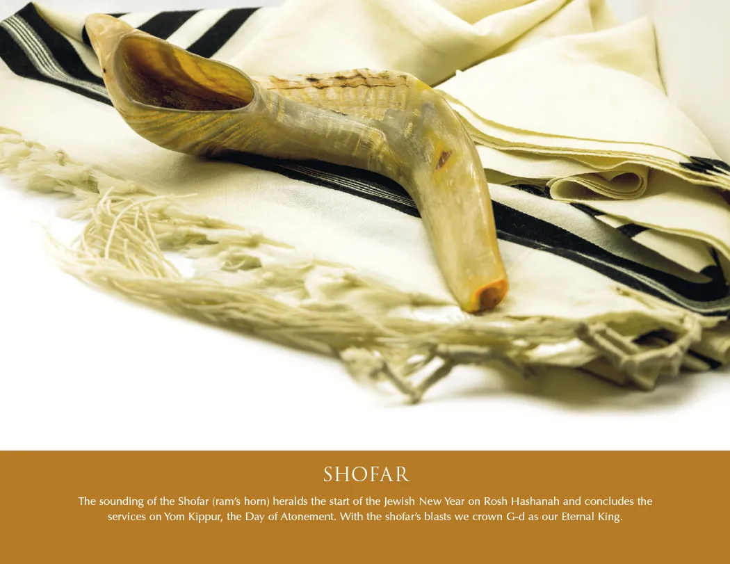 Jewish Heritage Wall Calendar FSC Paper - 16.75 x 11 in - product view 4