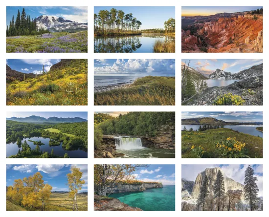 American Splendor Wall Calendar No Date Blocks - 23 x 17 in