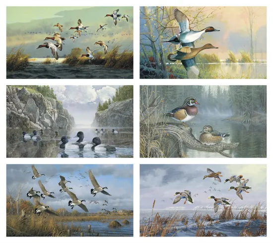 North American Waterfowl Wall Calendar FSC Paper - 23 x 17 in