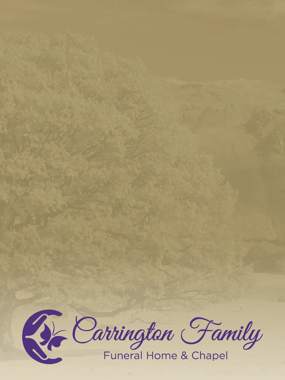 Full-Color Paper Folder Glossy Finish - 12 x 9 in - product view 14