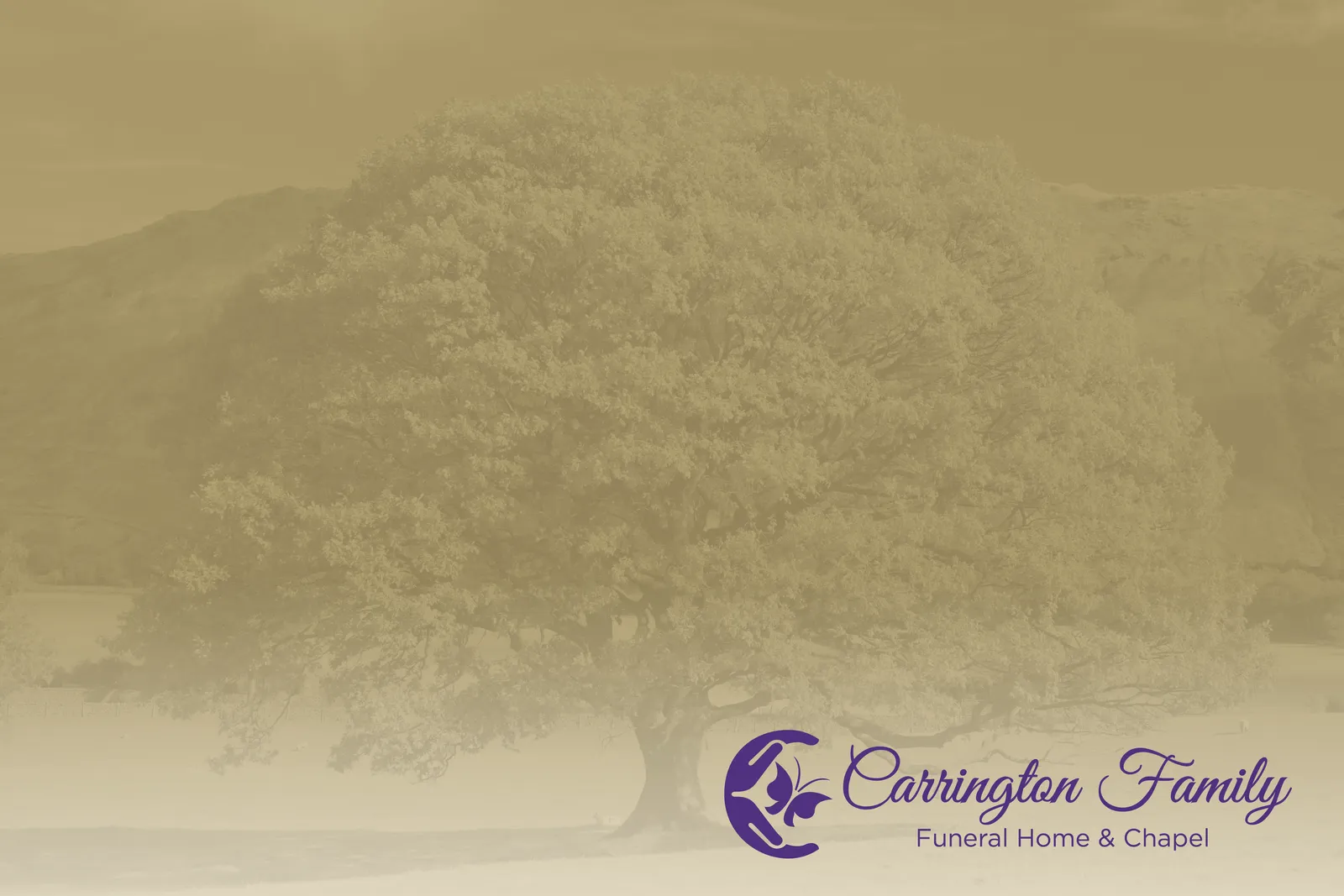 Full-Color Paper Folder Glossy Finish - 12 x 9 in - product view 15