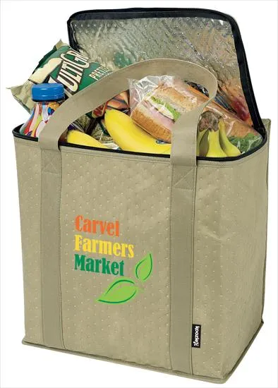 Insulated Grocery Tote Zippered Thermal Lining - 24 Can