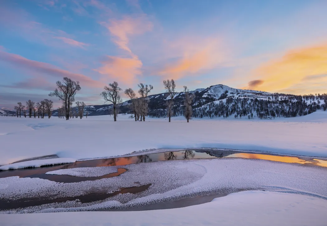 Beautiful America Executive Calendar FSC Paper UV - 24 x 16.5 in - product view 4