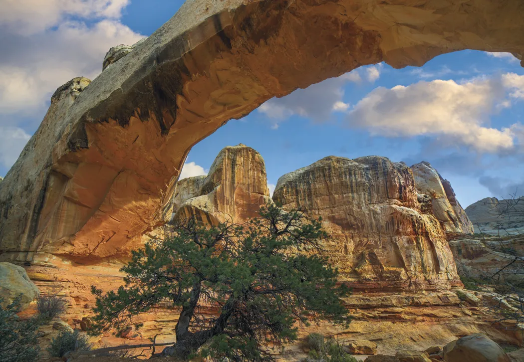 Beautiful America Executive Calendar FSC Paper UV - 24 x 16.5 in - product view 9