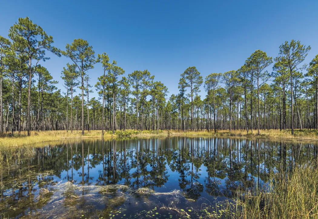 Beautiful America Executive Calendar FSC Paper UV - 24 x 16.5 in - product view 10