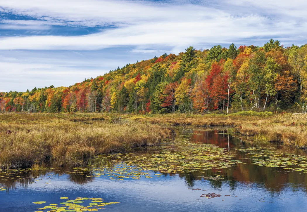 Beautiful America Executive Calendar FSC Paper UV - 24 x 16.5 in - product view 13