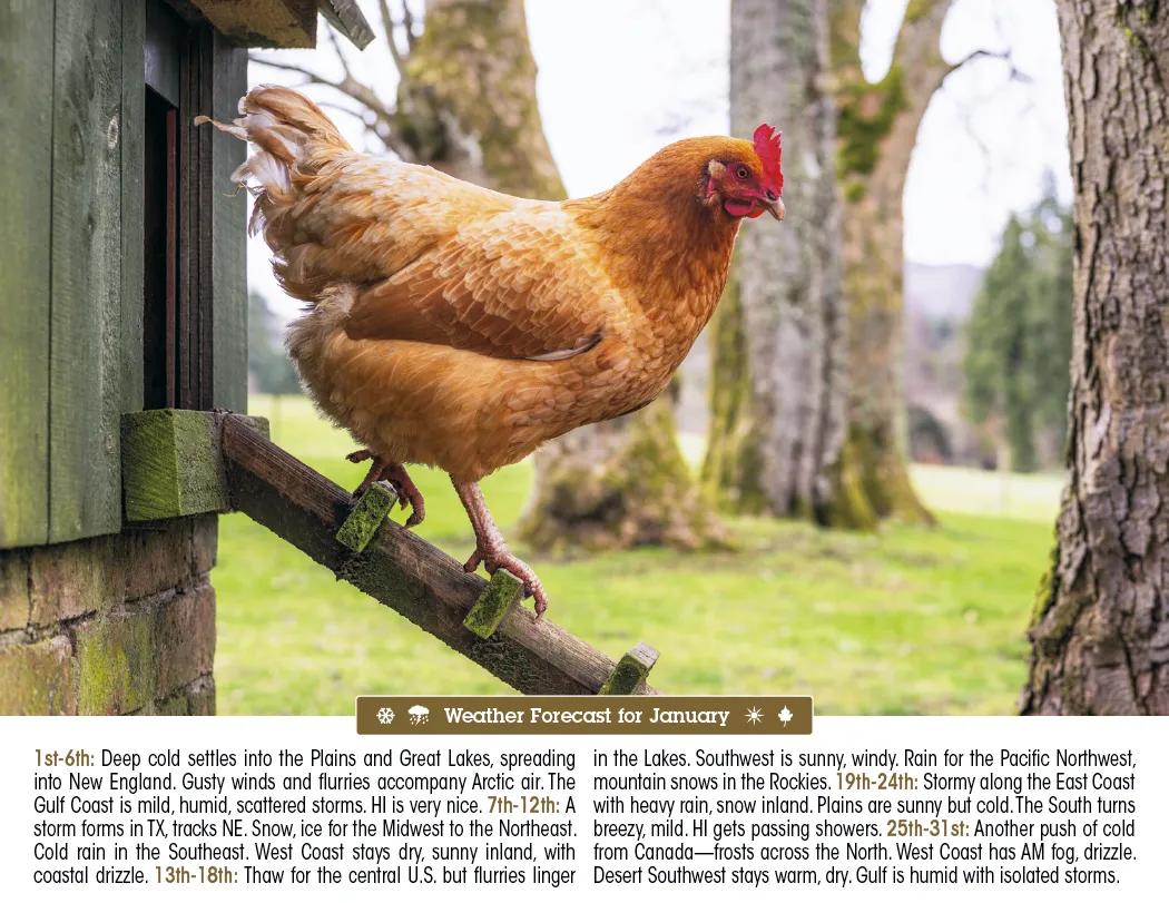 Scenic Almanac Calendar Weather FSC Gloss - 19 x 11 in - product view 4