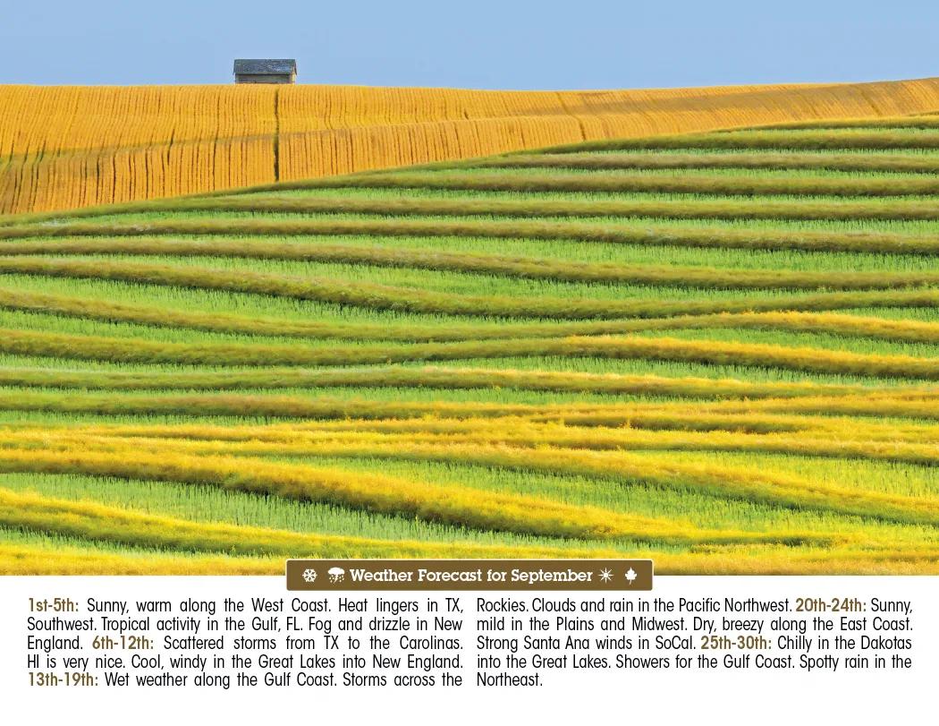 Scenic Almanac Calendar Weather FSC Gloss - 19 x 11 in - product view 12