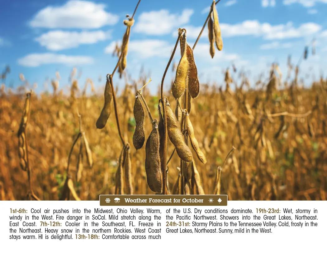 Scenic Almanac Calendar Weather FSC Gloss - 19 x 11 in - product view 13