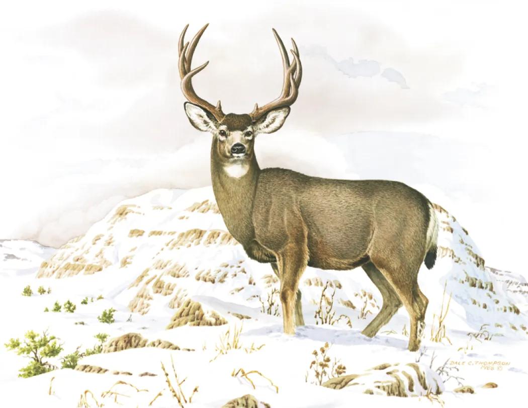 Wildlife Trek Spiral Wall Calendar FSC Paper - 18.5 x 11 in - product view 7