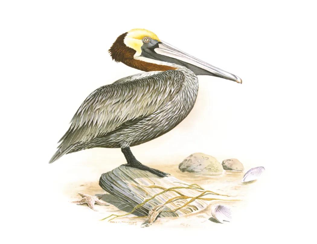 Wildlife Trek Spiral Wall Calendar FSC Paper - 18.5 x 11 in - product view 8