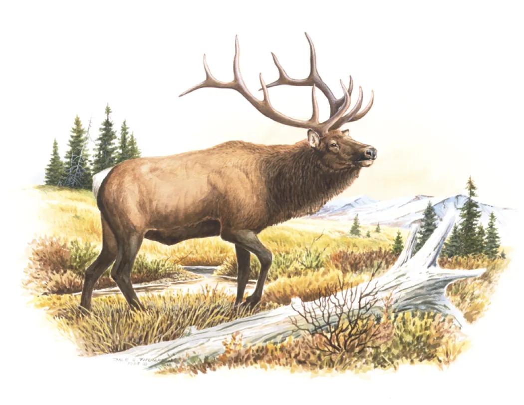 Wildlife Trek Spiral Wall Calendar FSC Paper - 18.5 x 11 in - product view 12