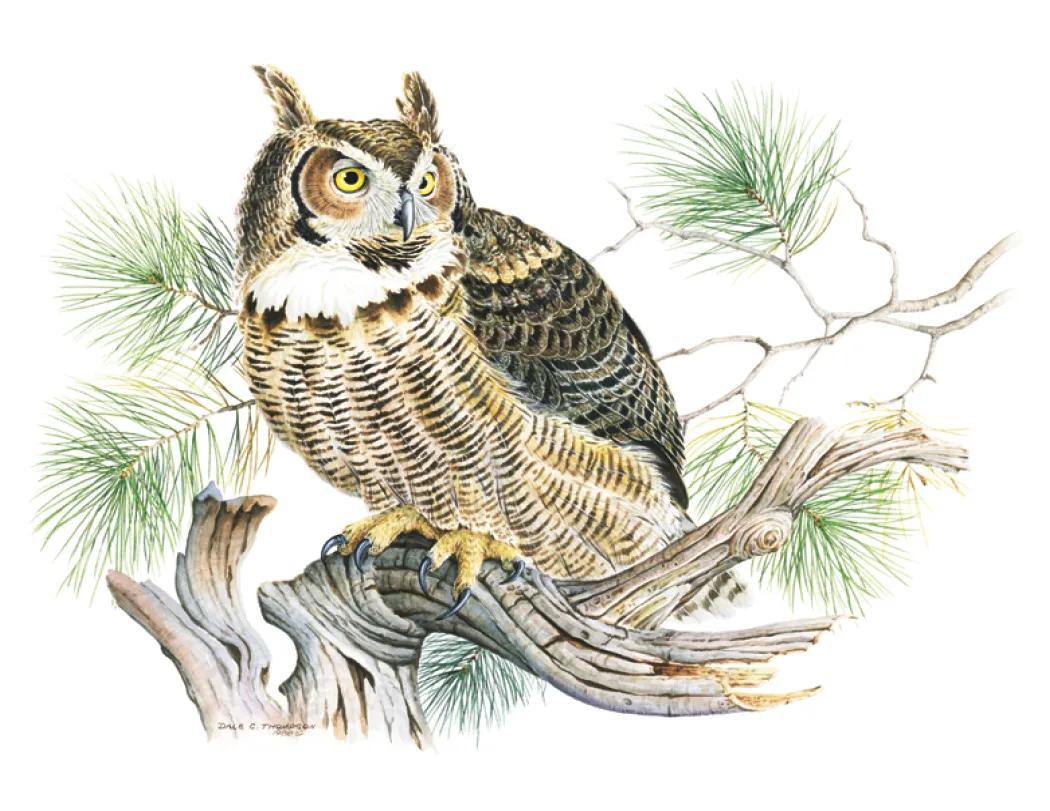 Wildlife Trek Spiral Wall Calendar FSC Paper - 18.5 x 11 in - product view 17