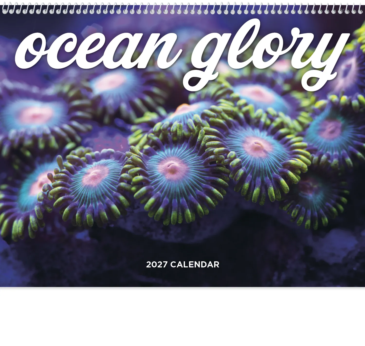 Ocean Glory Sea Life Spiral Wall Calendar FSC Paper - 18.5 x 11 in - product view 3