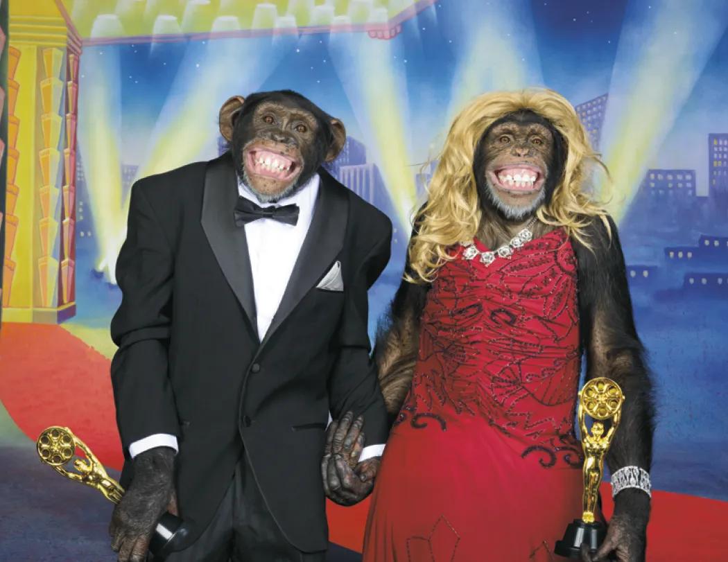 Monkey Humor Spiral Wall Calendar FSC Paper - 18.5 x 11 in - product view 9