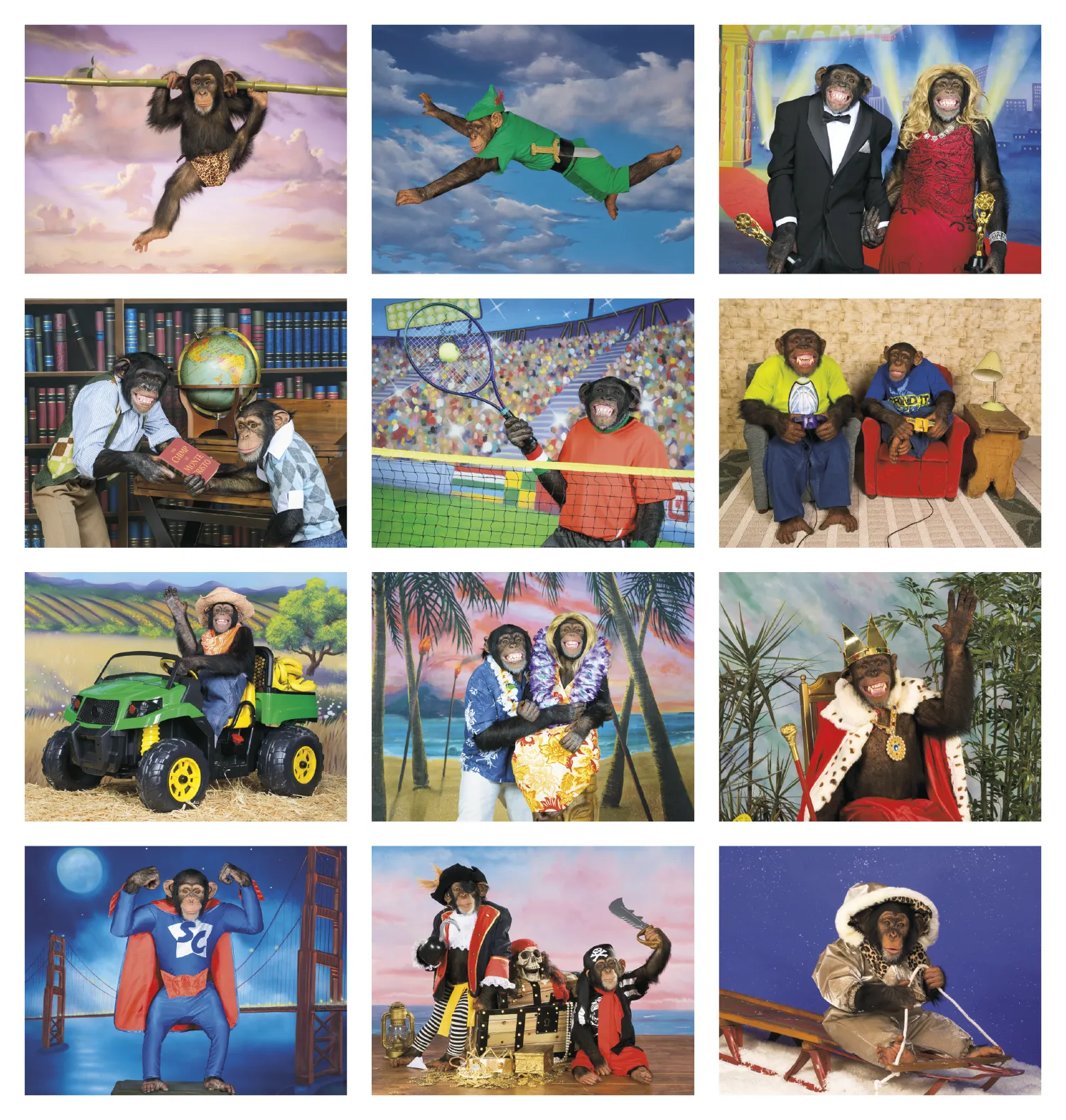 Monkey Humor Spiral Wall Calendar FSC Paper - 18.5 x 11 in - product view 21