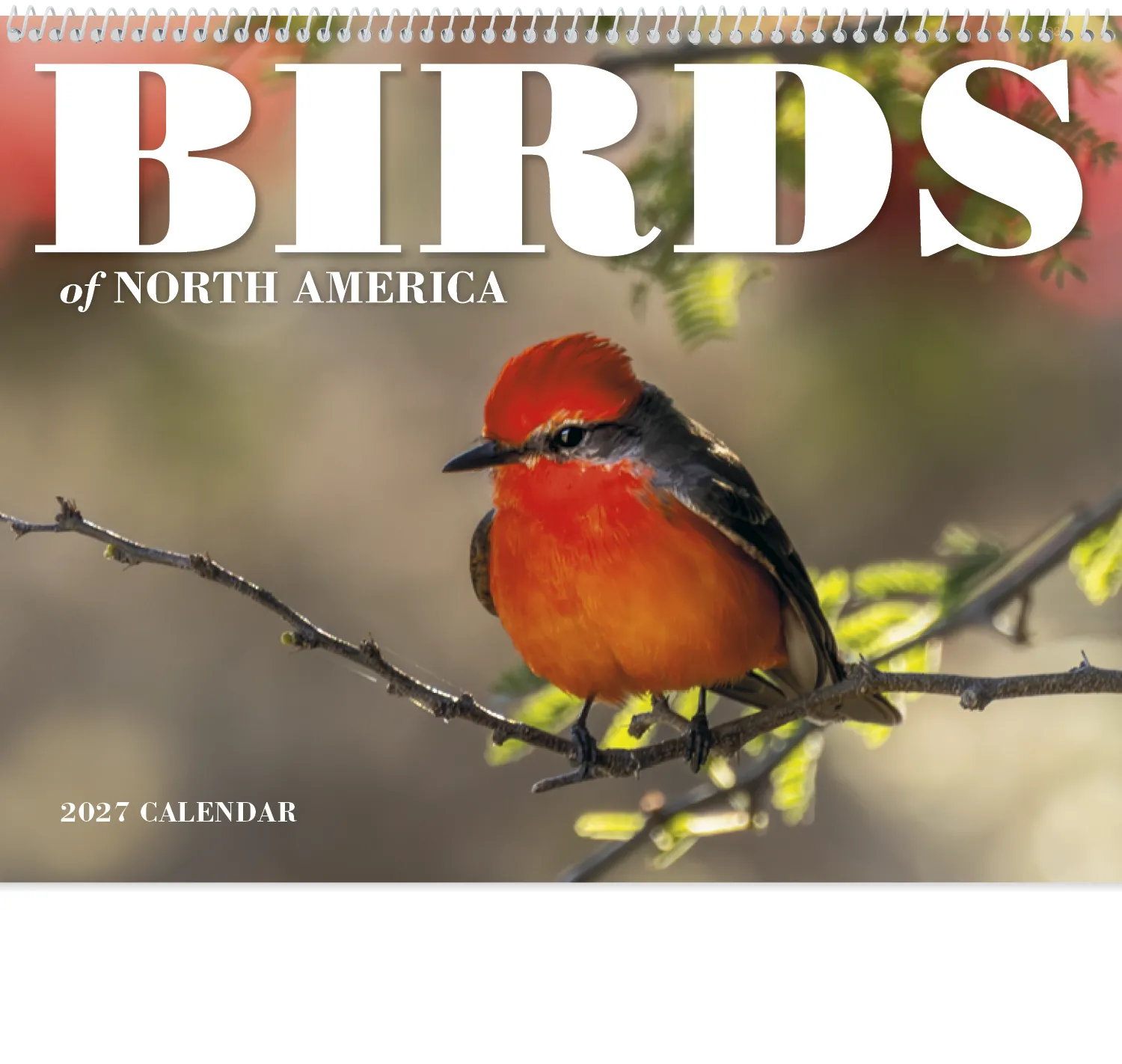 Birds of North America Spiral Wall Calendar - 18.5 x 11 in - product view 3
