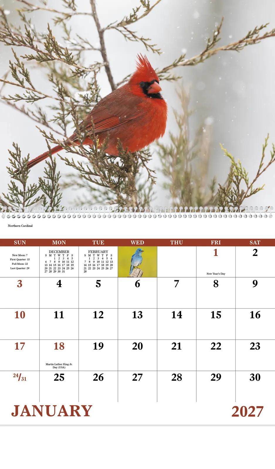 Birds of North America Spiral Wall Calendar - 18.5 x 11 in - product view 5