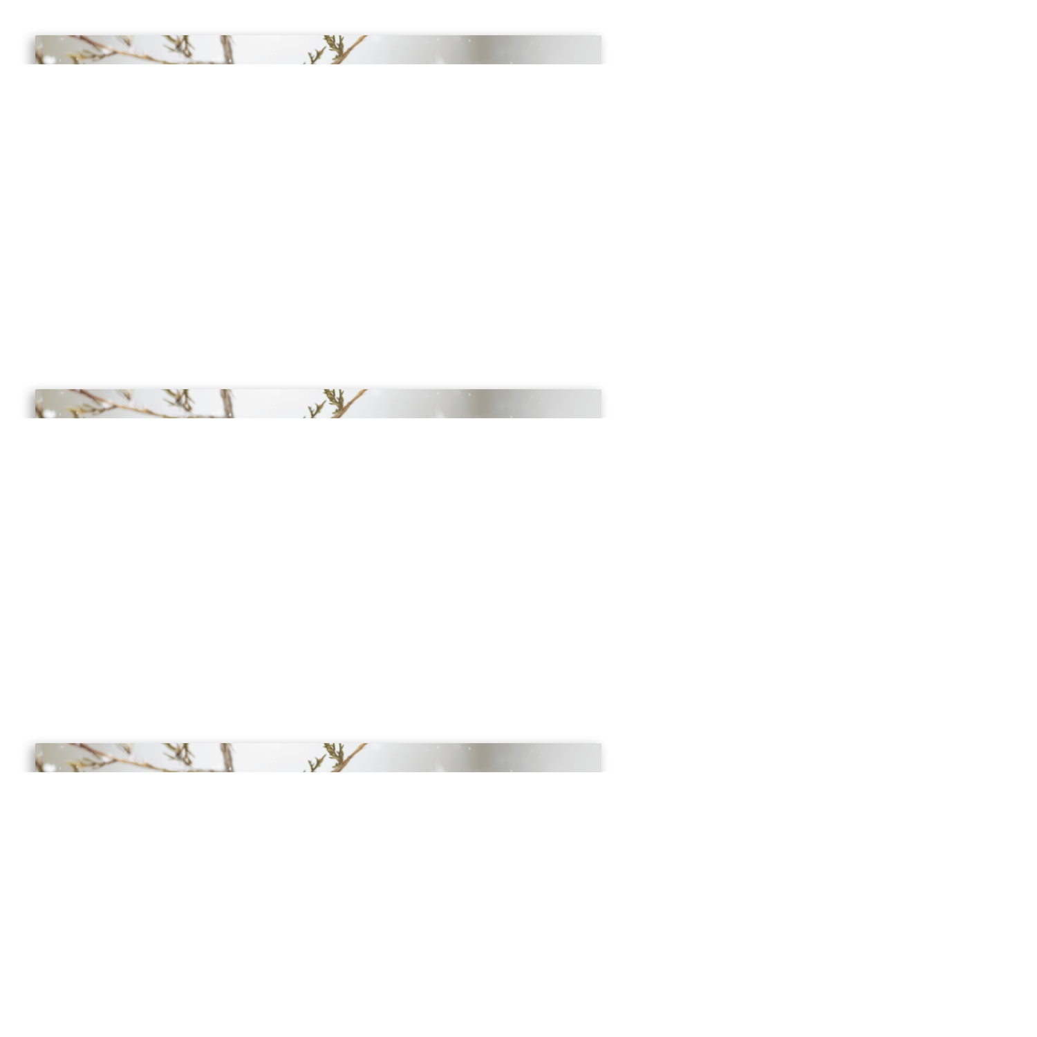 Birds of North America Spiral Wall Calendar - 18.5 x 11 in - product view 19